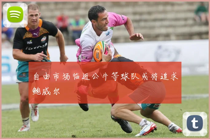 自由市场临近公牛等球队或将追求鲍威尔